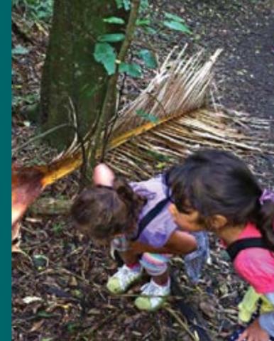 Two children look closely at a fern frond outdoors