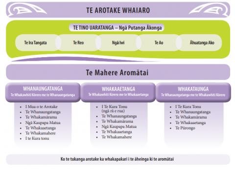 Figure 1 highlights ERO’s focus areas in evaluating a kura self review and the evaluation plan for ERO’s review.