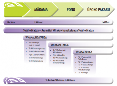 ​​​​​​​This diagram shows the indigenous development frame.