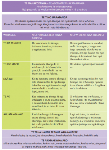 This table sets out the Criteria for Te Manakotanga Enrichment evaluation.