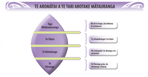 This diagram shows the four step process of ERO's evaluation they are: evidence - less is more, Analysis - focused analysis, Synthesis - Discussion about the evaluation direction and lastly Report - report.