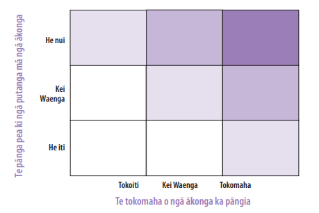 This diagram is the matrix to determine evaluation focus on the y axis it is called likely effect on student outcomes and the three boxes are labelled low, medium and high the x axis is called numbers of students affected and is also labelled low medium and high.