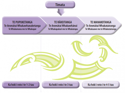 ​​​​​​​This diagram shows the differentiated review timing.