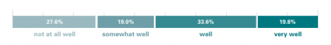 not at all well: 27.6%, somewhat well: 19.0%, well: 33.6%, very well: 19.8%