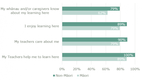 Figure 5 shows the largest differences between Maori and non-Maori students’ responses for 4 statements in the student survey.