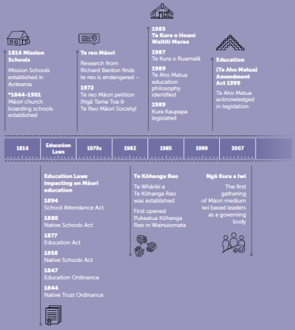 This diagram shows a timeline of key legislation and milestones in the development of Māori medium education in New Zealand.