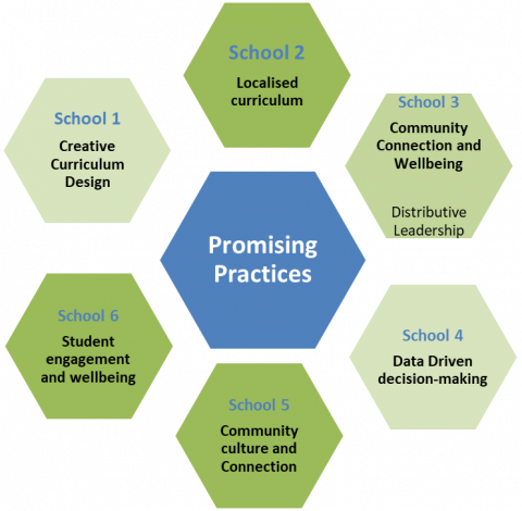 Promising Practices diagram