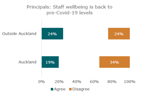 Figure 11: Staff wellbeing had recovered less well in Auckland