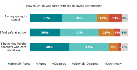 Figure thirteen is a graph showing disabled learners’ agreement with three statements.