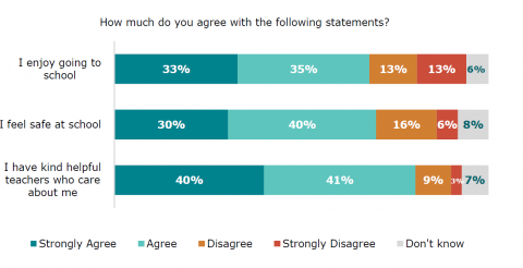 Figure thirteen is a graph showing disabled learners’ agreement with three statements. 