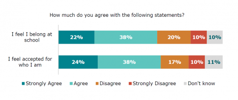 Figure fifteen is a graph showing disabled learners’ agreement with two statements. The first statement is ‘I feel I belong at school’. Twenty-two percent strongly agreed. Thirty-eight percent agreed. Twenty percent disagreed. Ten percent strongly disagreed. Ten percent reported they did not know. The second statement is ‘I feel accepted for who I am’. Twenty-four percent strongly agreed. Thirty-eight percent agreed. Seventeen percent disagreed. Ten percent strongly disagreed. Eleven percent did not know.