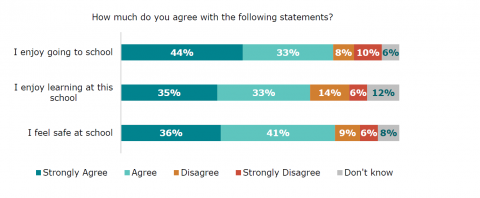 Figure 60: How Māori disabled learners feel about school: Disabled learner survey