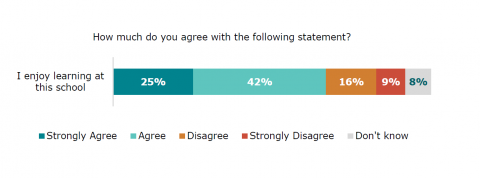 Figure nine is a graph showing disabled learners’ responses to whether they enjoy learning at school. Twenty-five percent strongly agreed. Forty-two percent agreed. Sixteen percent disagreed. Nine percent strongly disagreed. Eight percent reported they did not know.