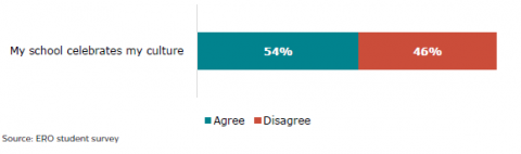 Figure 24: Schools celebrate culture – learner responses