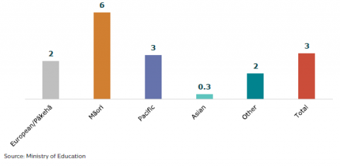 Figure 39: Suspension rates per 1,000 learners by ethnic groups: 2020