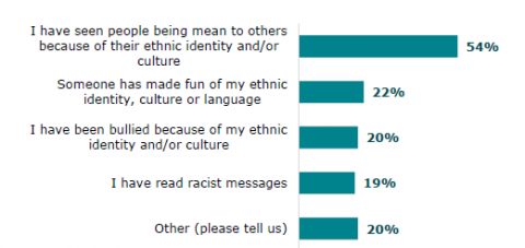 Figure 4: Learners' experiences of bullying and racist messaging