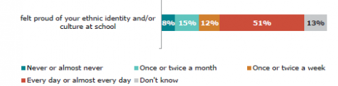 Figure 20: How often learners (Year 4 – 13) feel proud of their ethnicity/culture at school