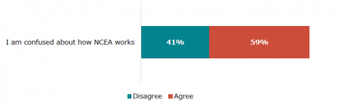 Figure 48: Secondary learners (Year 9 -13) from ethnic communities’ confusion about NCEA