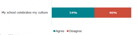 Figure 49: Schools celebrate culture – learner (Year 4 – 13) responses