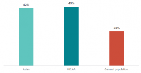 Figure 6: Percentage of bachelor’s degree and above holders – Asian and MELAA (2018)