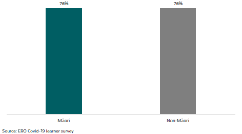 Figure 17: Māori learners feeling connected with their friends