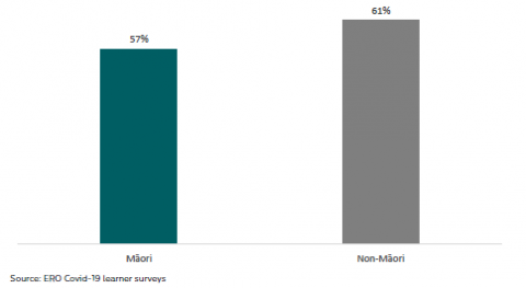 Figure 20: Māori learners: My progress has been good this term