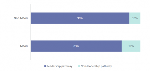 Figure 34: Pathways into the principal role for Māori and non-Māori new principals
